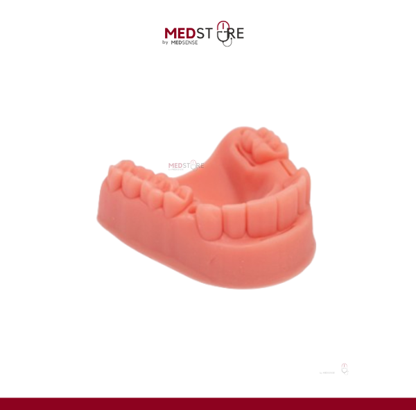 Dental Silicone Suture Pad / Manekin Mulut
